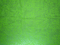 豹纹图案绿色反光布