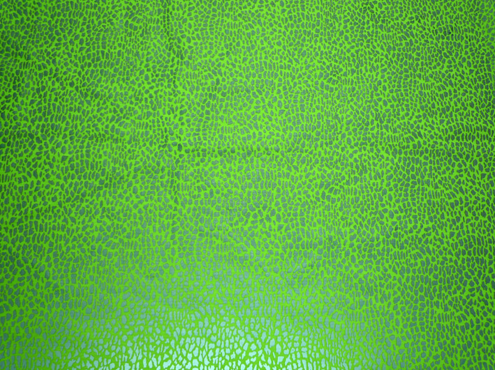 豹紋圖案綠色反光布