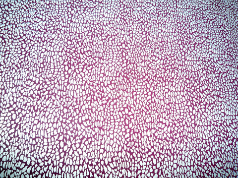 豹纹图案反光布