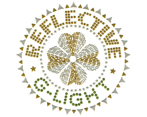 金银葱彩色烫片