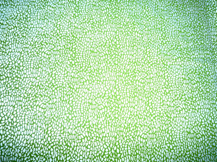 豹紋圖案綠色反光布